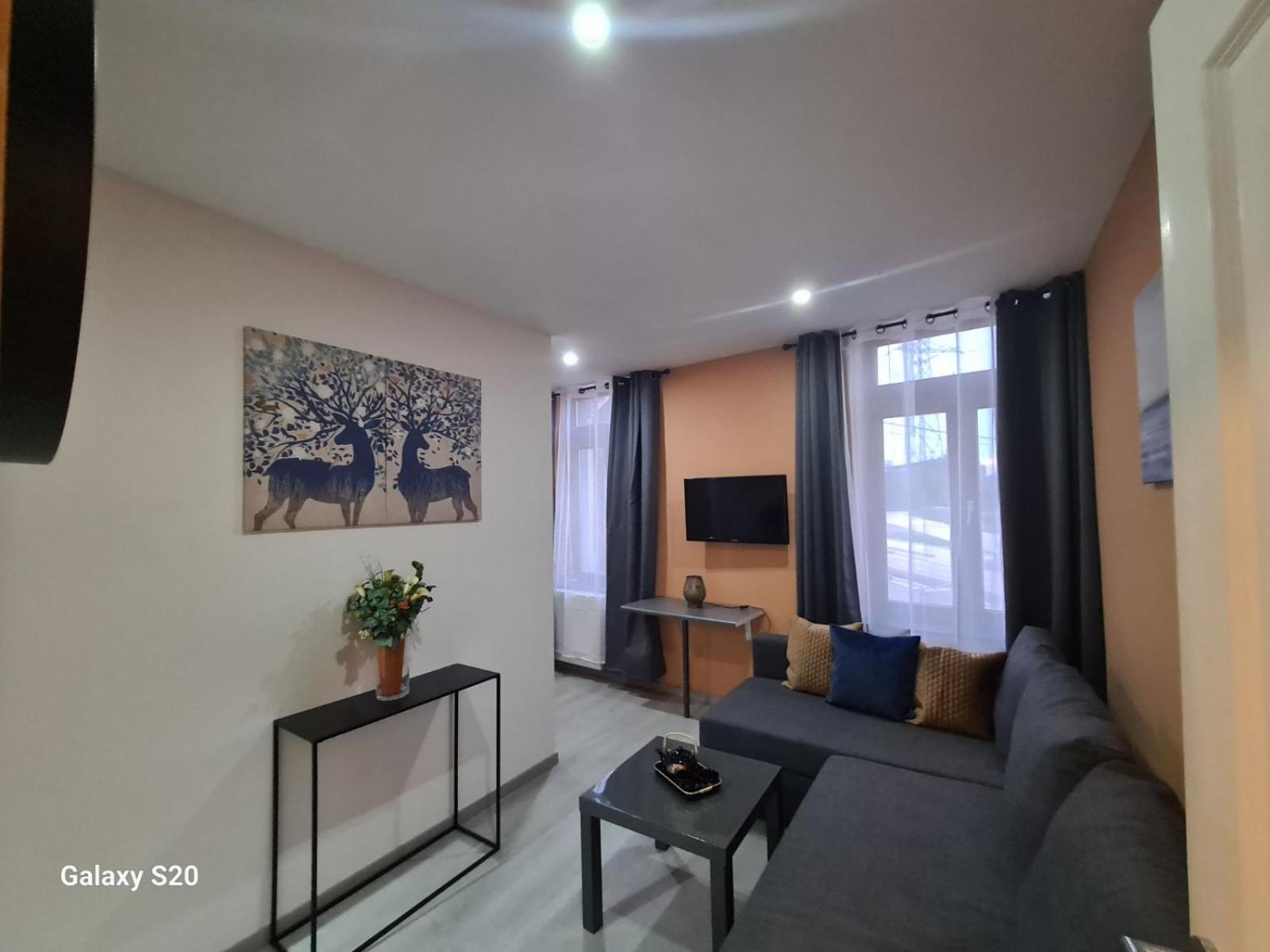 Liege Apartment Seraing Bagian luar foto