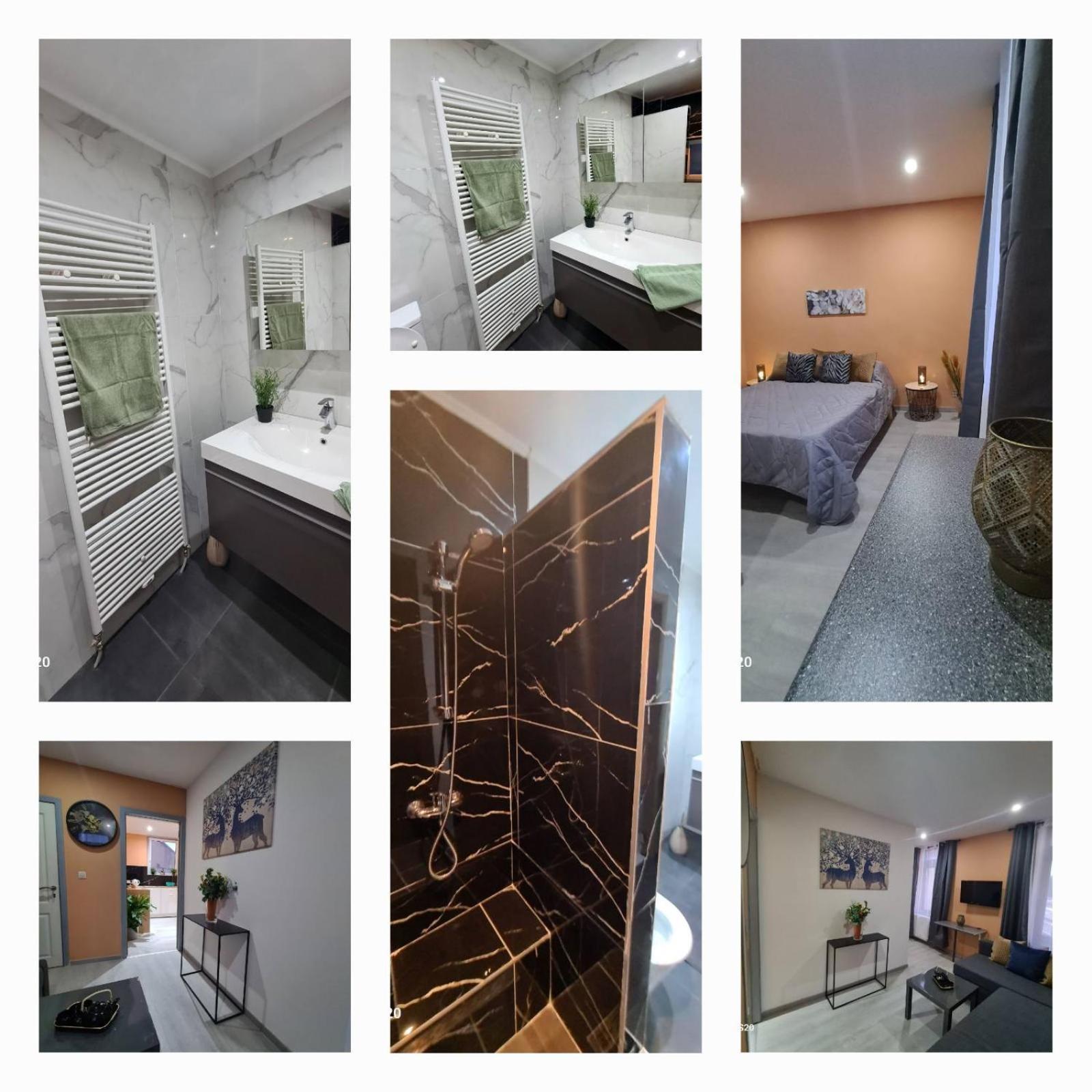 Liege Apartment Seraing Bagian luar foto